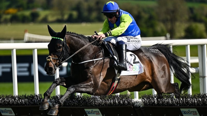 Eachtotheirown springs Punchestown novice hurdle surprise