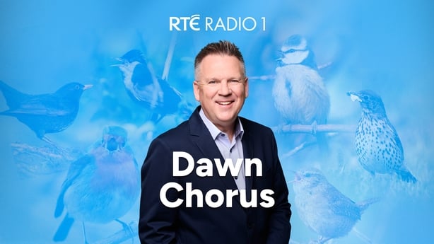 Dawn-Chorus