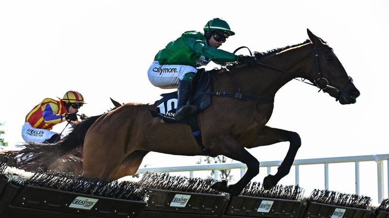 Le Frimeur ehances reputation in style at Punchestown