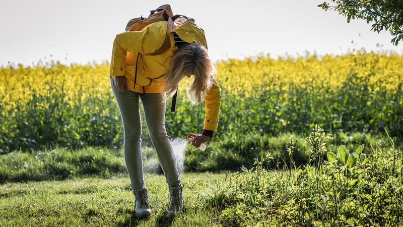 Everything to know about ticks and how to avoid them