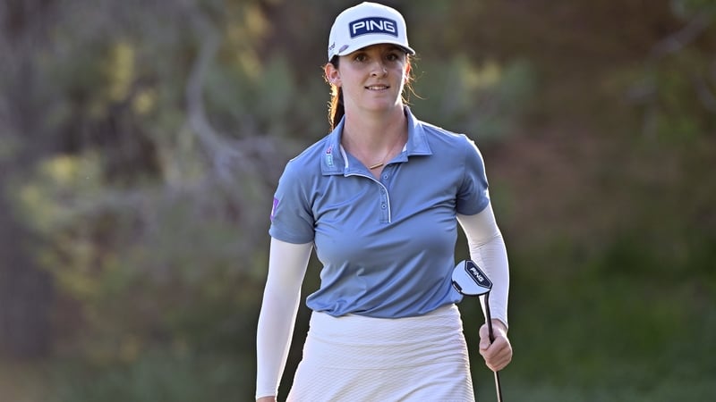 Riviera Maya Open R1 leaderboard: Walsh and Meadow in action