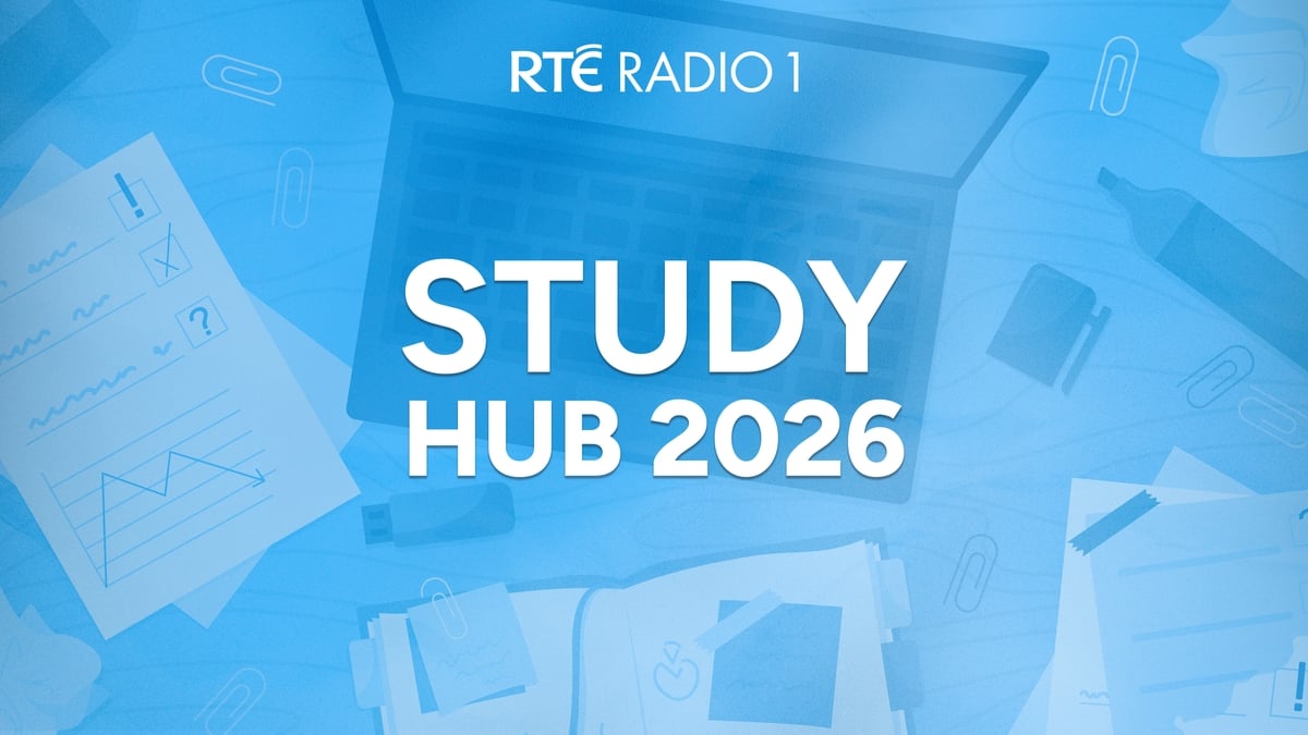 Study Hub 2026: English