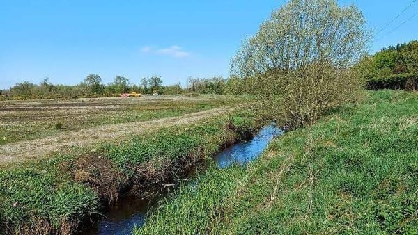 Riverstown River, Co Westmeath