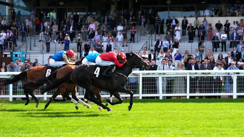 Coppull, Sweet William and Jonquil win Royal Ascot trials