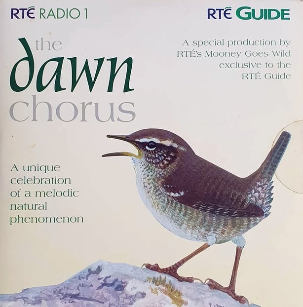 Dawn Chorus CD