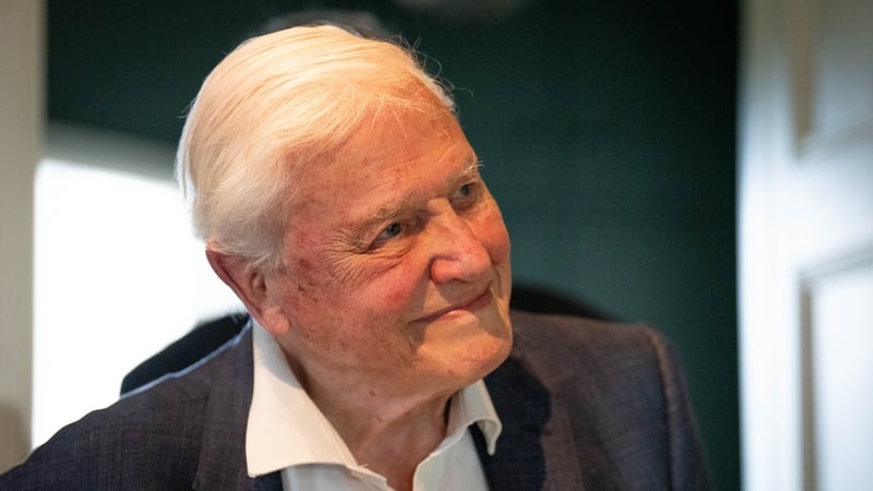 Attenborough 'overwhelmed' by 100th birthday greetings