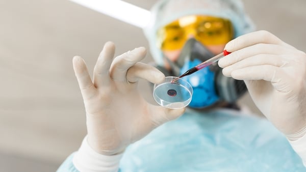 view of a researcher in a lab dropping blood sample in a Petri dish.
