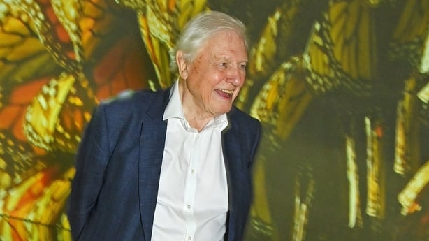 LONDON, ENGLAND - OCTOBER 12: Sir David Attenborough attends the Global Launch of BBC Studios' "Planet Earth III" at Frameless on October 12, 2023 in London, England. (Photo by Dave Benett/Getty Images)