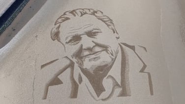 Giant portrait in the sand marks David Attenborough’s 100th birthday