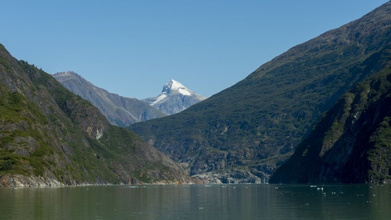 a View of the north arm of Tracy Arm, a fjord in Alaska near Juneau