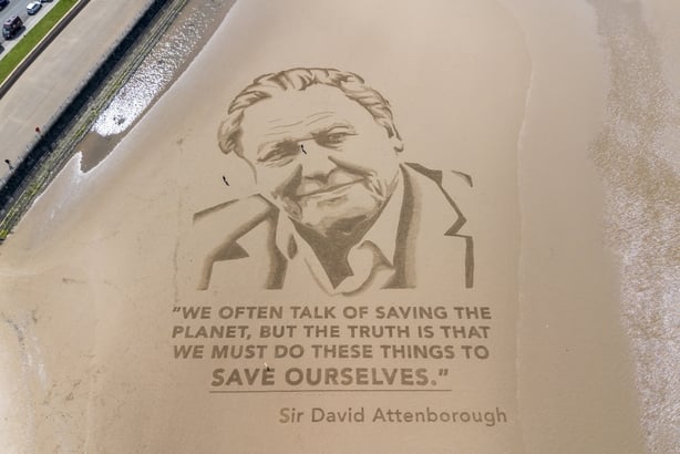 Aerial view of a portrait of David Attenborough on Morecambe Beach