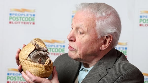 David Attenborough holding 'Inti', an armadillo from Edinburgh Zoo,