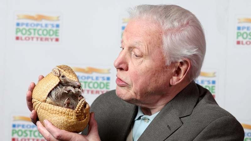 David Attenborough, chomh fiosrach inniu is a bhí riamh