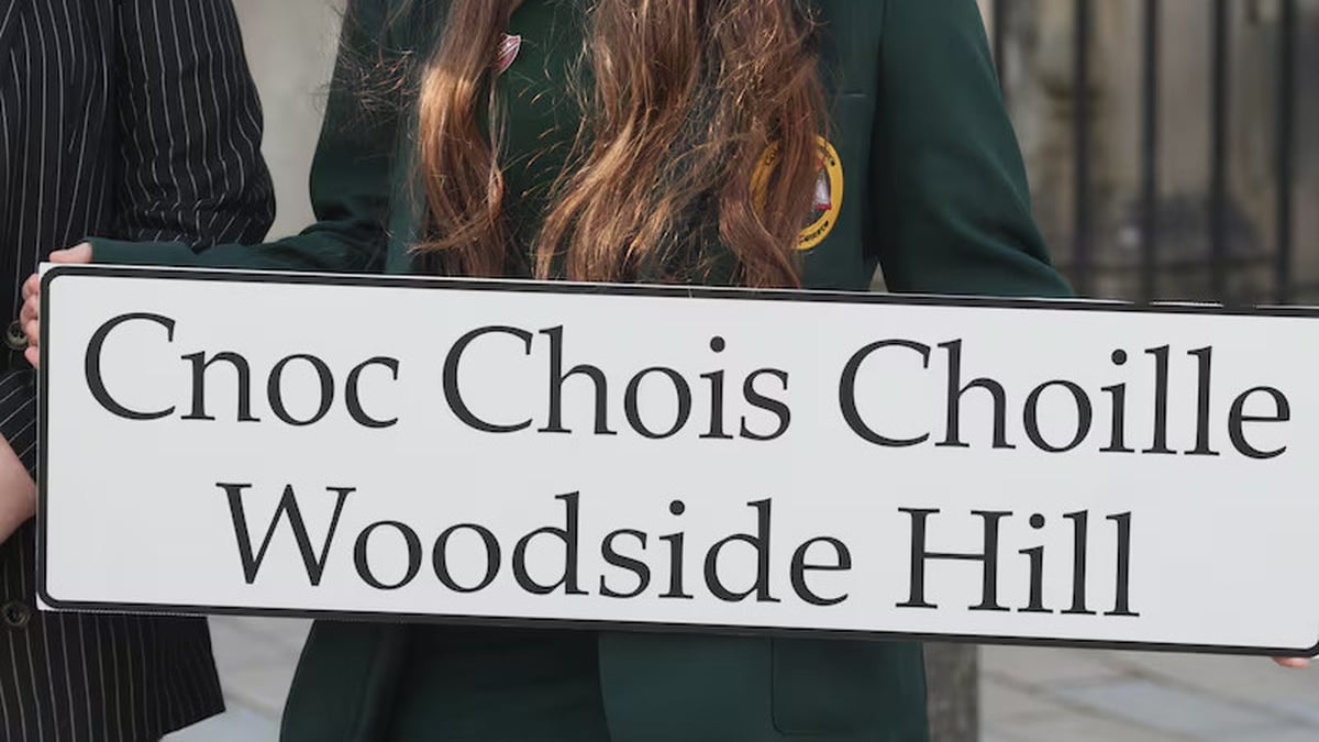 Cuisle Nic Liam Comhordaitheoir Chearta Teanga Chonradh na Gaeilge.