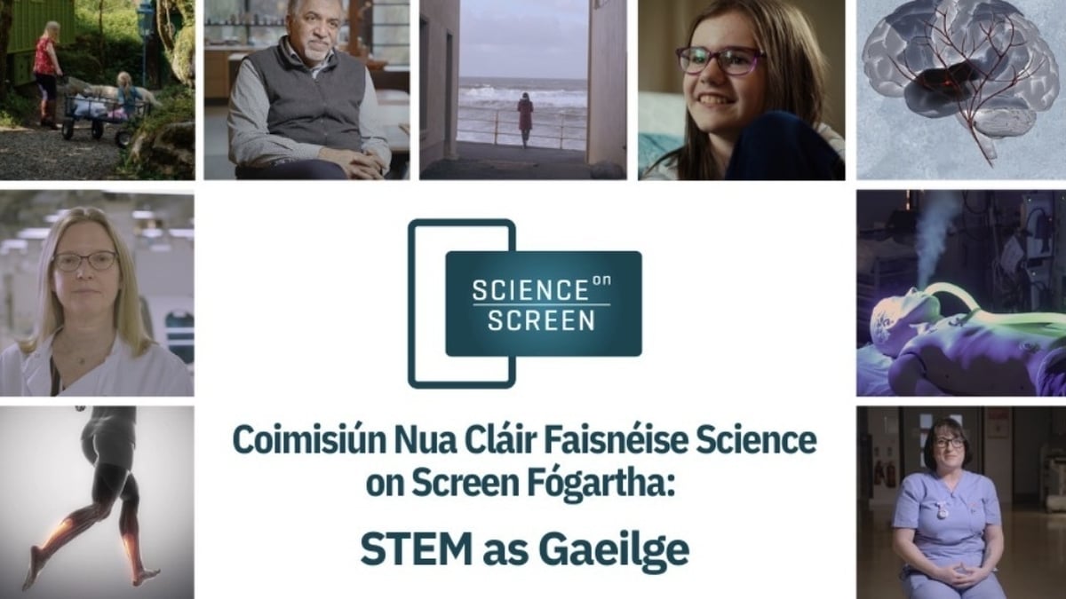 Fintan Hegarty, Léachtóir in Oideachas STEM trí Ghaeilge in Ollscoil na Gaillimhe.