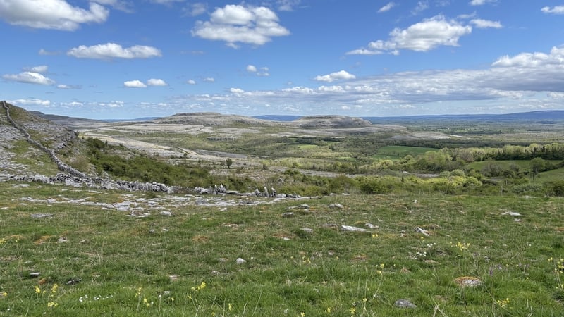 Burren biodiversity project rolled out across 15 counties