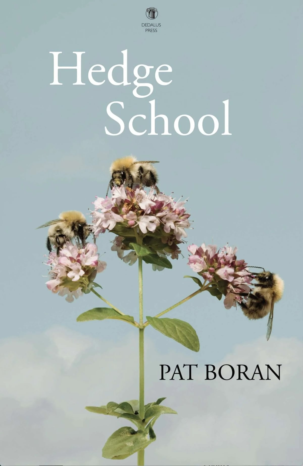 Hedge school