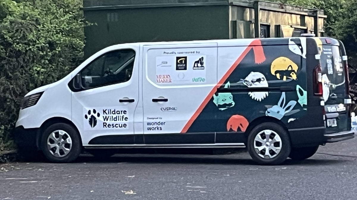 Calls for nationwide wildlife rescue service
