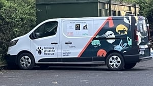 Calls for nationwide wildlife rescue service show image