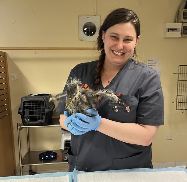 Woman holding a bird