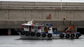Irish passengers disembark MV Hondius