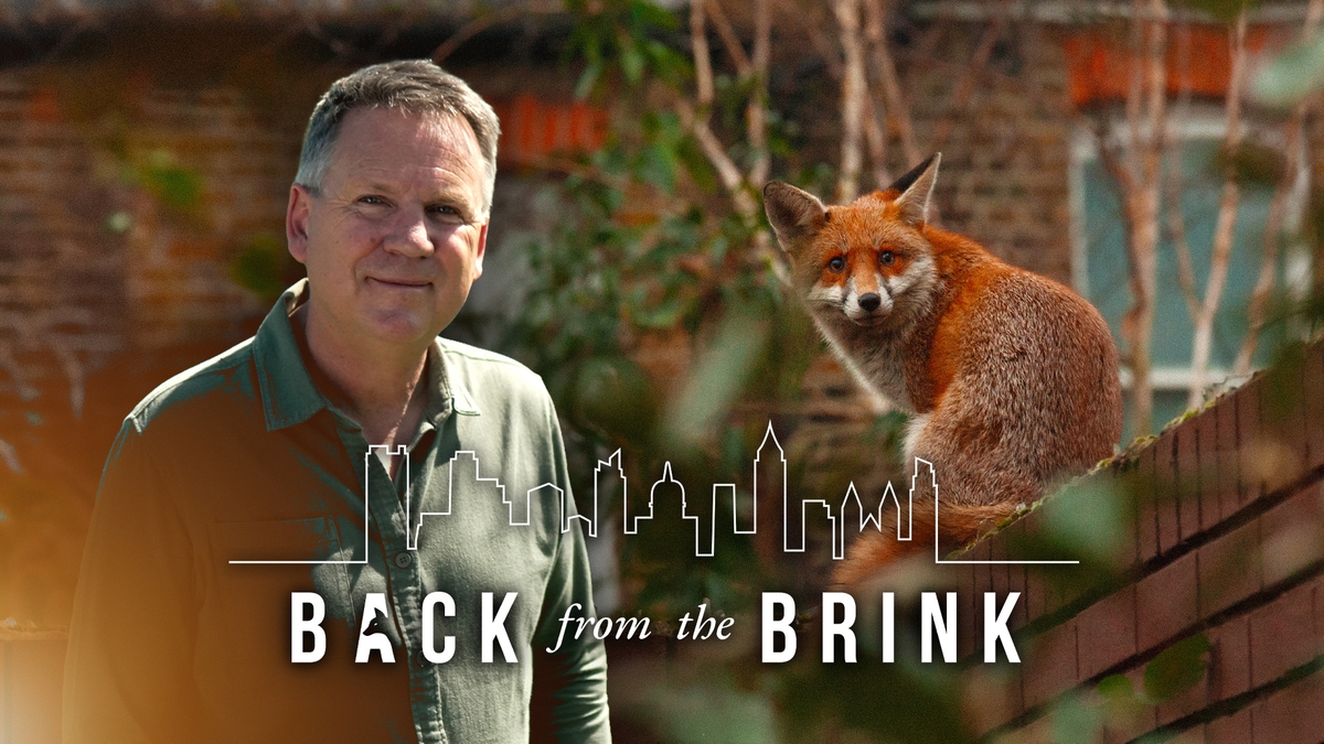 Back From The Brink