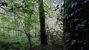 Series 8 Ep 6 | Ambient Orbit  show image