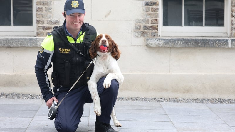 An Garda Síochána launches recruitment drive
