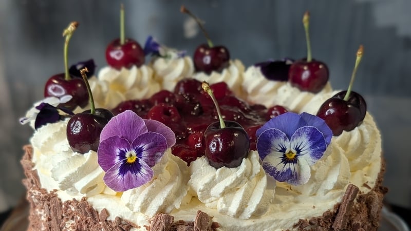 Shane Smith's Black Forest Gateau