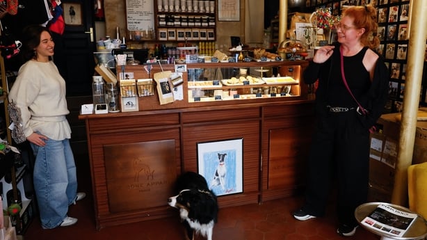 Image shows two women chatting and laughing while a black and white dog watches. They are inside a coffee shop with lots of pastries behind the counter.