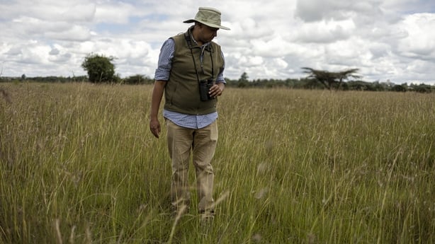 Entomologist Dr Dino Martins, search for giant African harvester ants nests, in Silole sanctuary in Kajiado