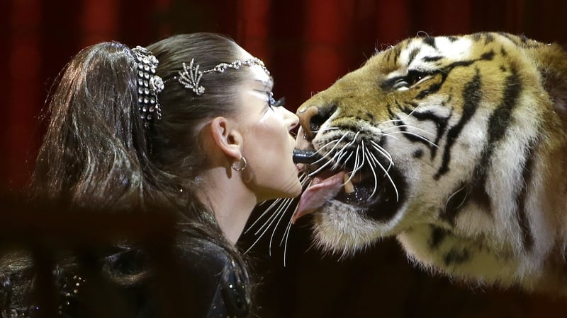 Carmen Zander performs with a tiger during the gala of the 42nd Monte-Carlo International Circus Festival