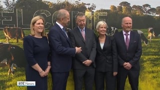 Former Kerry dairy business rebrands as Kinisla, creates 100 jobs