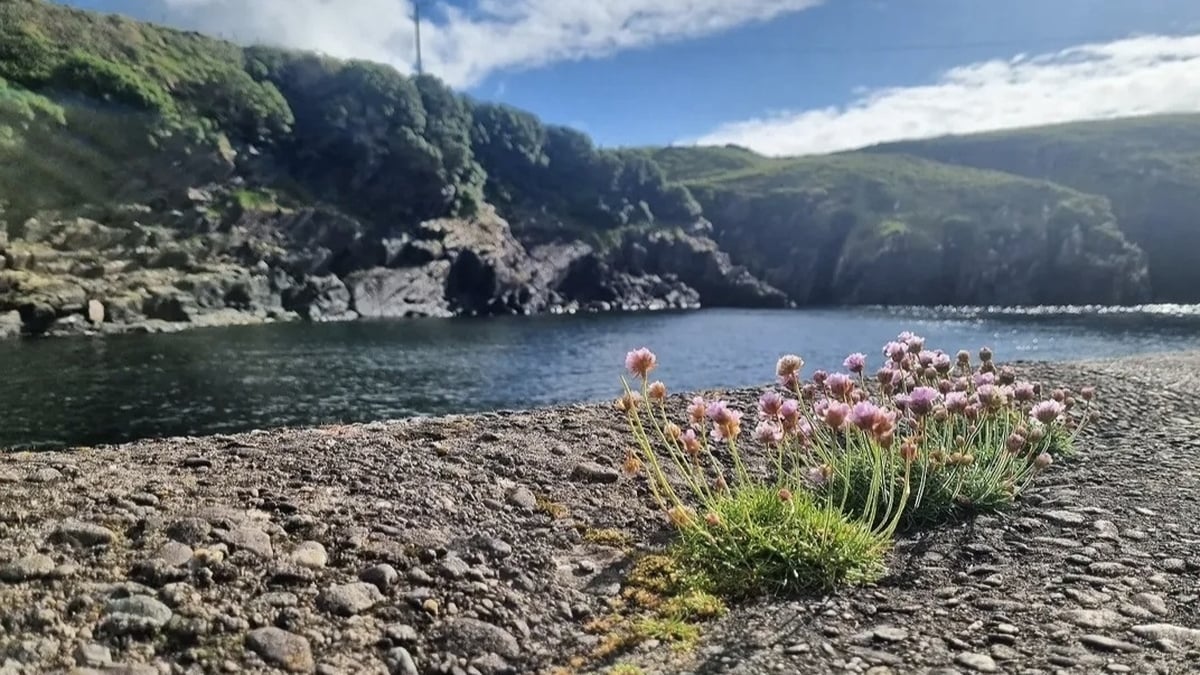 Clár 288; Leathchéad bliain ó dfhág Tim Severin agus a chriú Cuas a' Bhodaigh