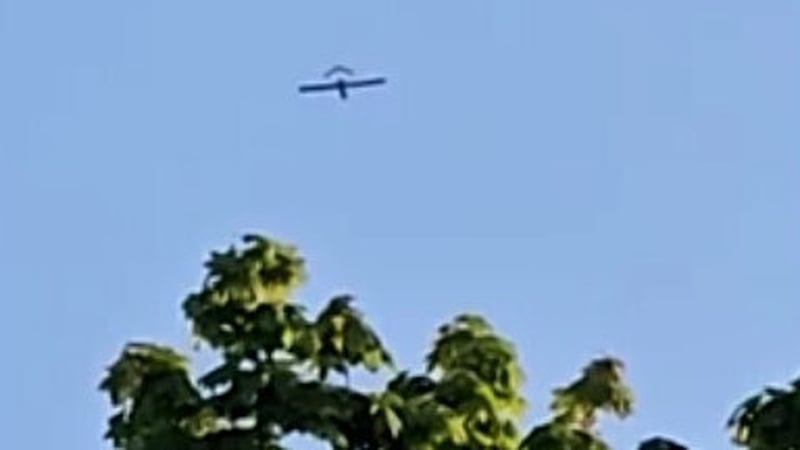 a drone is photographed flying above trees