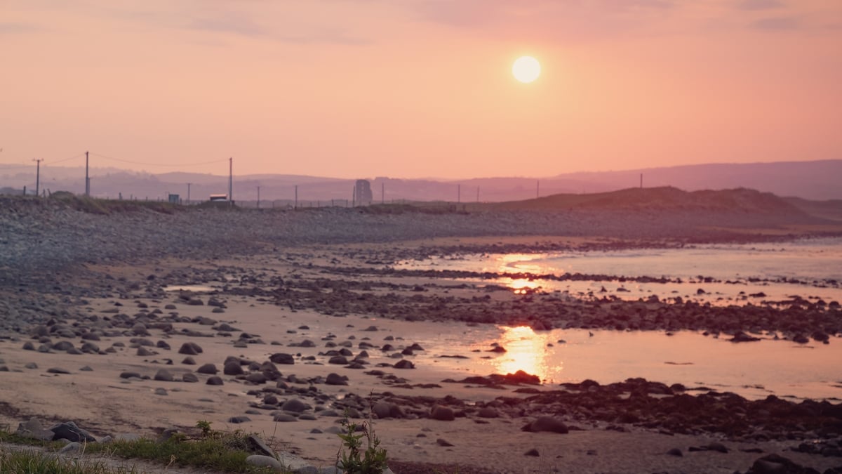 Rare whale stranded on Clare beach