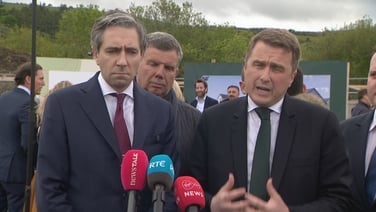 Rental situation 'very challenging' - minister