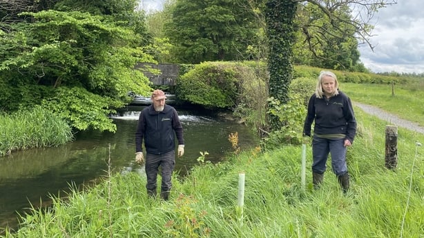 Works along the Boyne catchment area for salmon sprawling