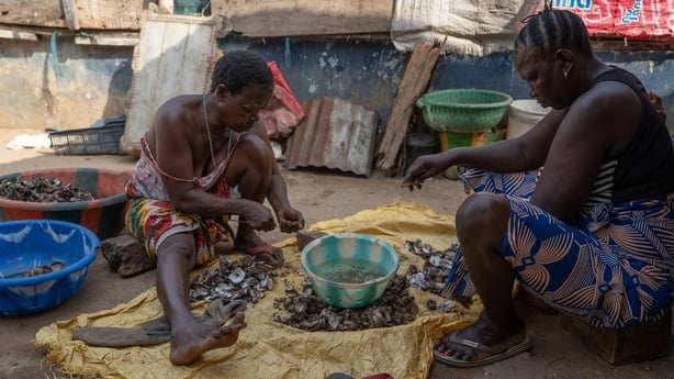Two women sit on the ground processing oysters