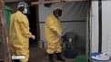'Travel restrictions rarely show any success' in stopping Ebola spread - WHO