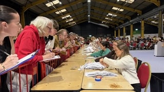 People watch votes being counted in Dublin Central