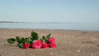 Teenage girl dies off Burrow Beach in Dublin