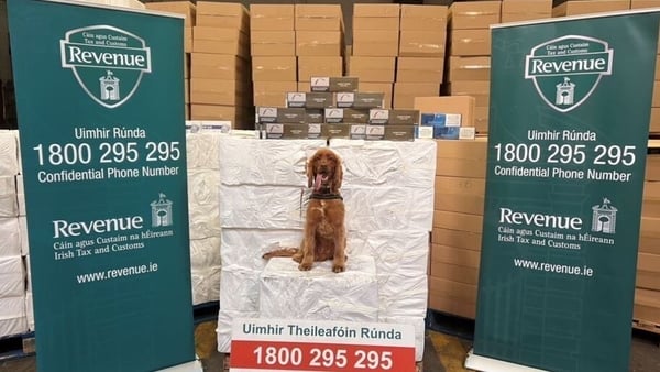 Seized cigarettes with Kobe at Dublin Port