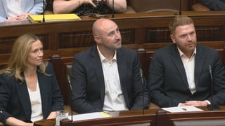 Ceann Comhairle welcomes new TDs to Dáil chamber