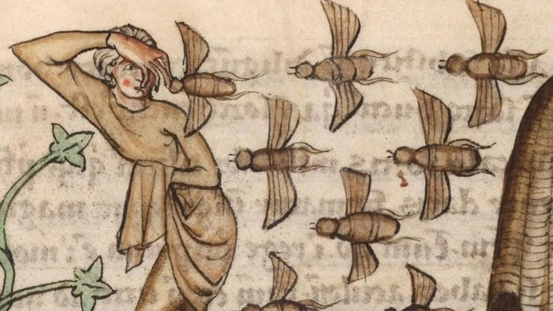 Bees attacking a threat as depicted in a medieval manuscript