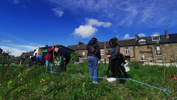 People planting hedgerows at Mud Island Dublin City
