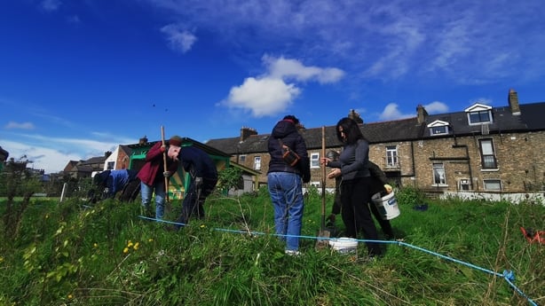 People planting hedgerows at Mud Island Dublin City