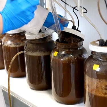 ‘Pee-cycle’ tech turns human urine into fertiliser
