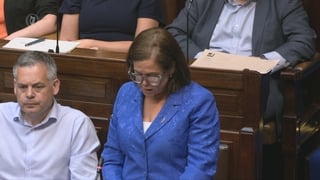 ‘There is no end to RTÉ's sense of entitlement’, McDonald tells Dáil