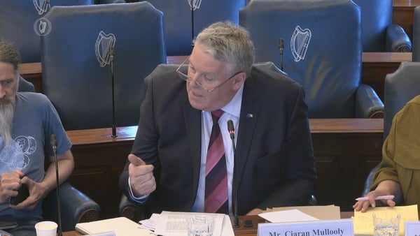 Anger in Seanad over Mullooly's Brazilian beef claims